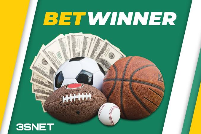 Everything You Need to Know About the BetWinner Platform Everything You Need to Know About the BetWinner Platform